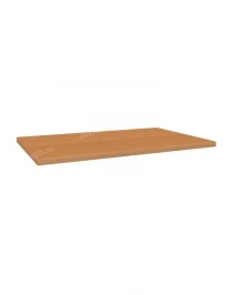 Столешница ERGO(1)