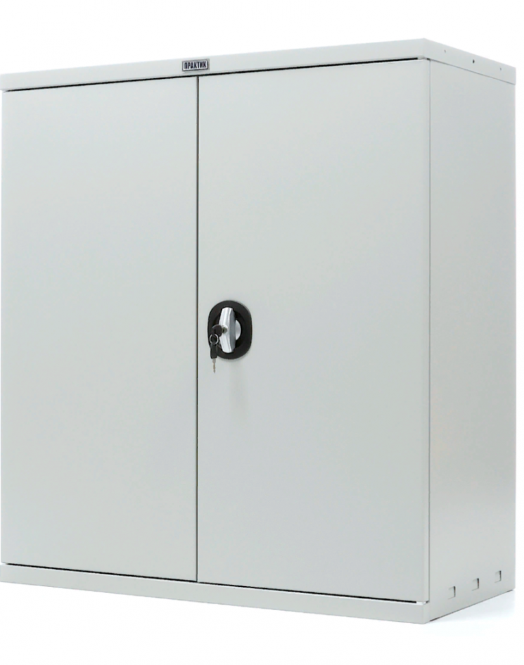 Шкаф Практик СВ-11 купить в Вологде