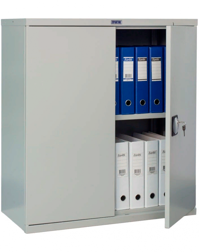 Шкаф Практик СВ-21 купить в Вологде