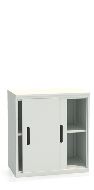 Шкаф-купе архивный ALS-8896 купить в Вологде Шкаф-купе архивный ALS-8896 купить в Вологде